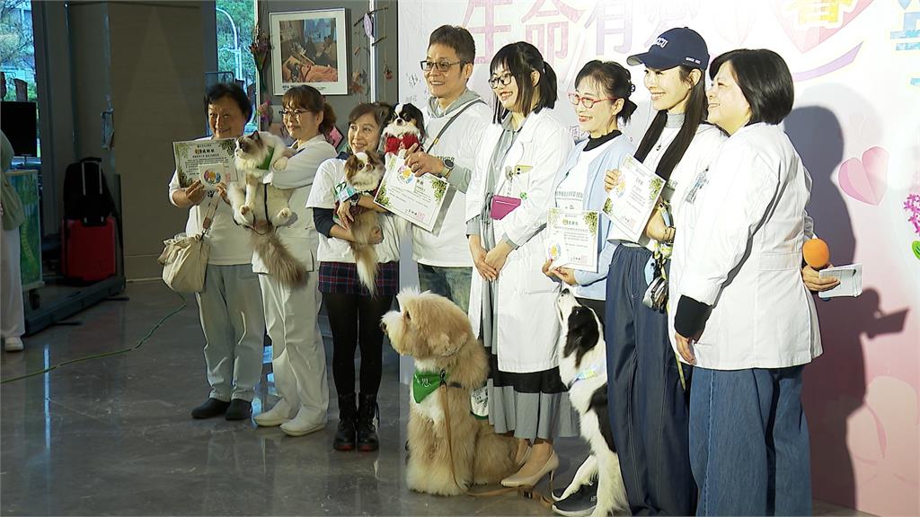 當毛小孩來敲門　治療犬貓走進安寧病房陪伴病友