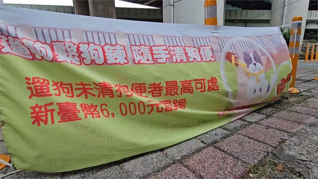 獨/遛狗不清狗便便爆衝突 受害人控遭圍毆重傷住院