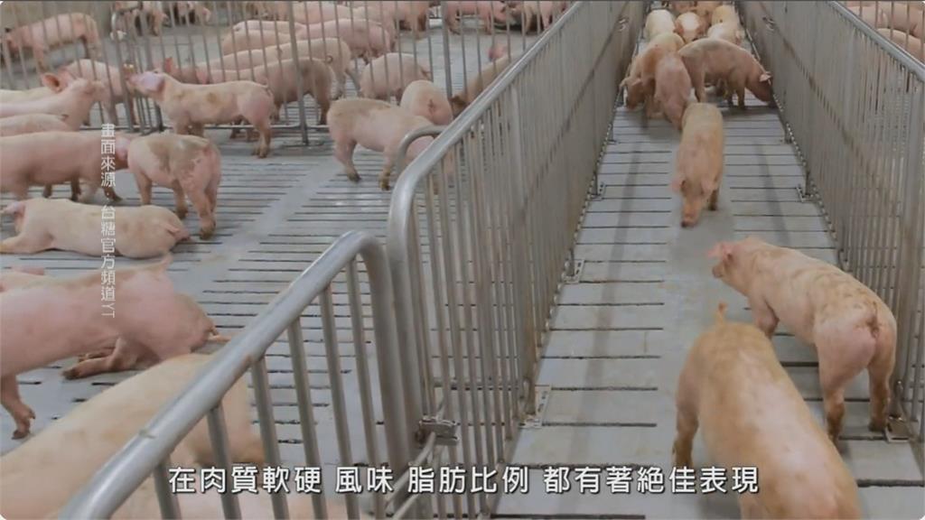 立委賴瑞隆調查全國豬肉量 庫存約剩6萬公噸足1個月使用