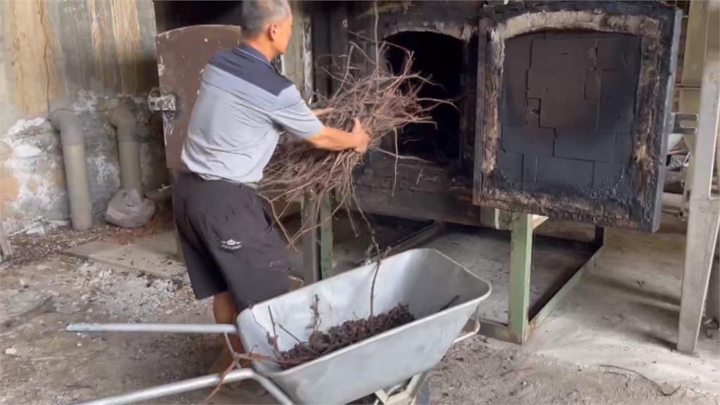 廢棄樹枝藤蔓大變身！火燒葡萄藤成「生物炭」　增強肥力促進植物生長
