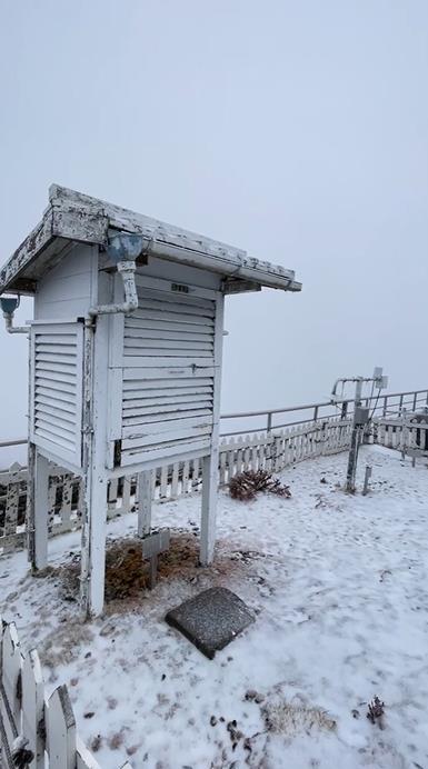快新聞/玉山下雪了! 絕美銀白世界畫面曝