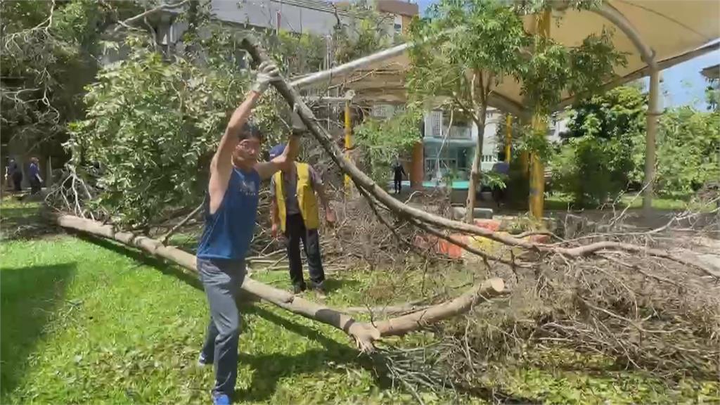 颱風過境嘉義災情慘重　各地志工進駐協助清掃善後