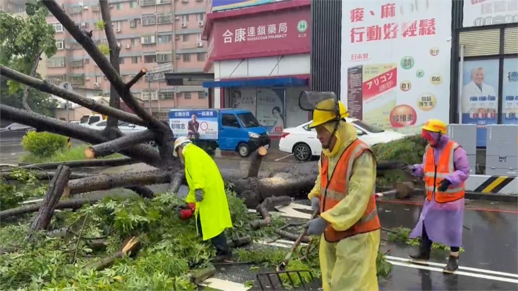 不敵強風樹倒壓民宅 新竹山區累計雨量破500毫米
