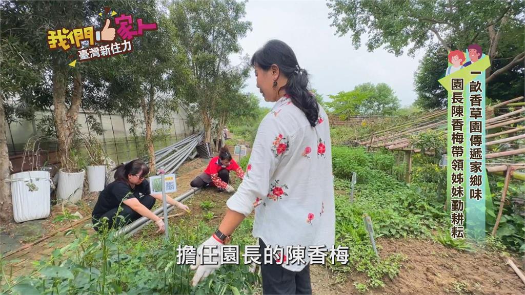 一畝香草園傳遞家鄉味　園長陳香梅帶領姊妹勤耕耘