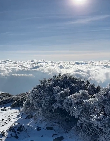 快新聞／雪山迎來初雪！　絕美銀白世界「畫面曝光」