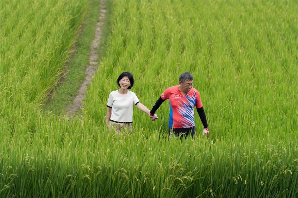 陳佩琪遭嗆「叫橘子回來證明阿北清白」!本人不忍「暴出1句」小草急了:別…