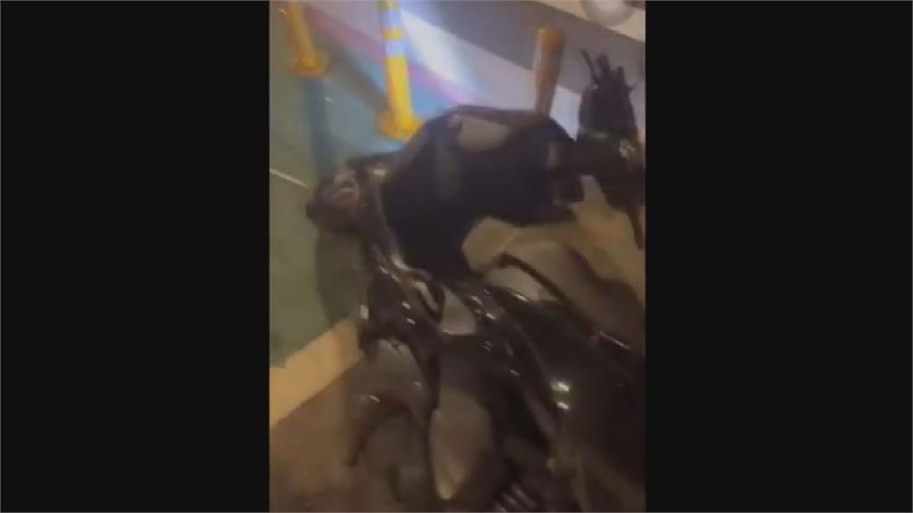屁孩酒駕逆向騎車!猴子上身還發IG炫耀 下秒自撞交通柱千名網友笑翻