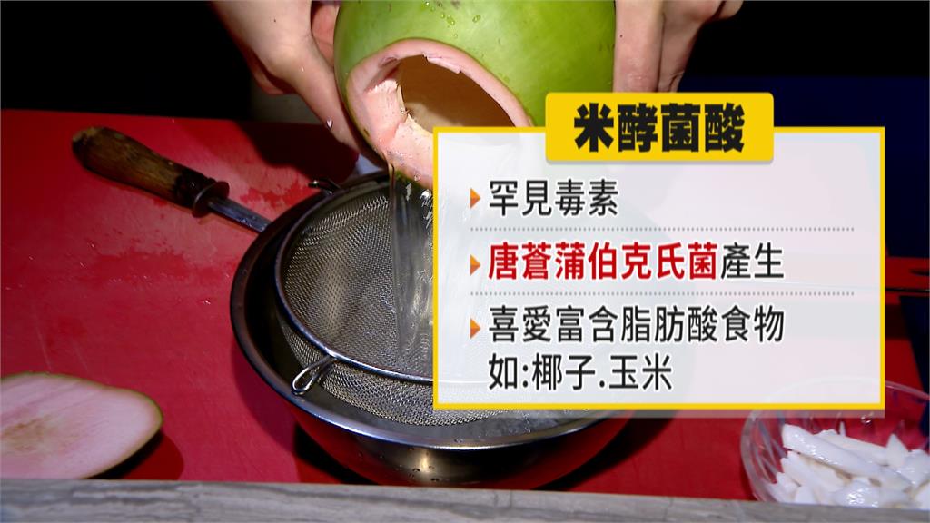 米酵菌酸烹煮殺不死 易在椰子與玉米繁殖