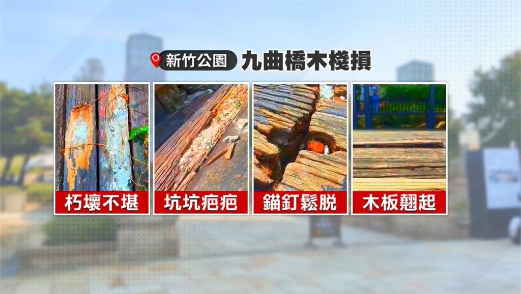 公園維護漏洞百出! 棧道腐朽不堪、特殊「熊谷櫻」遭砍伐