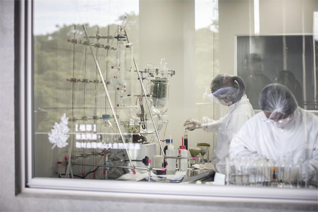 阿原人參豐盈養髮液全新上市 將養土之道延伸至頭皮養護 15天頭皮有效改善