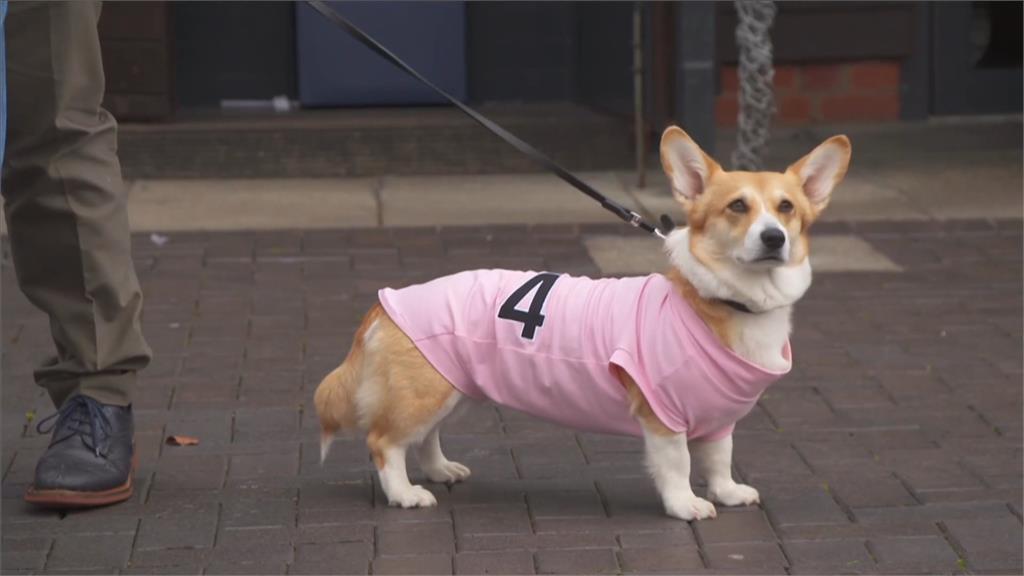 昔伊莉莎白二世登基白金禧紀念 蘇格蘭「柯基犬賽跑」登場