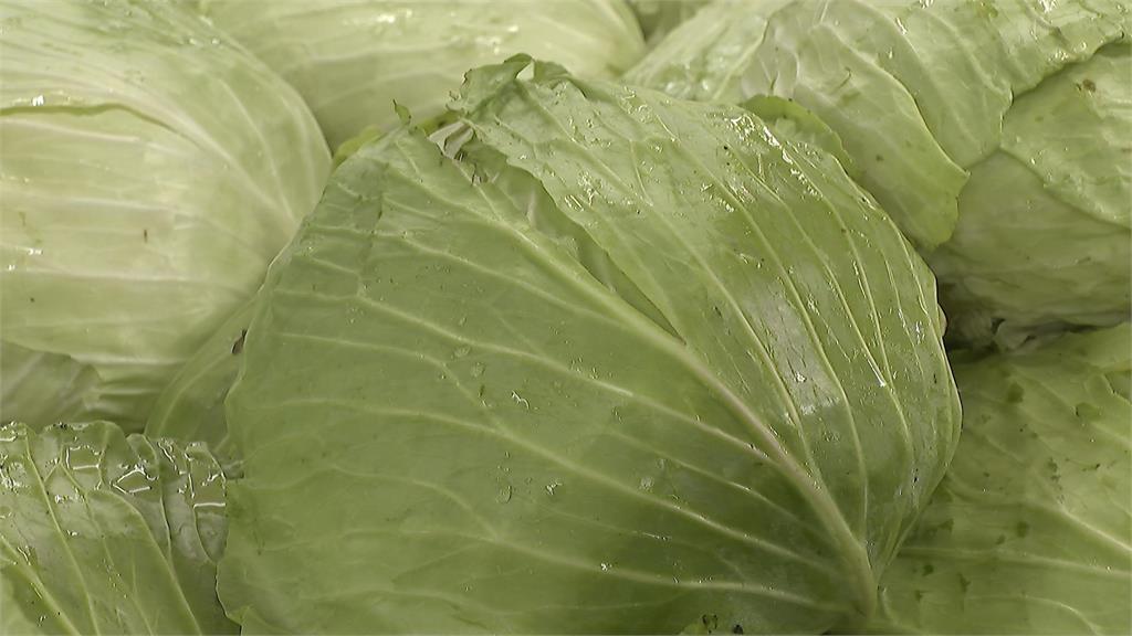 鳳凰颱風撲台！菜價恐喊漲　菜籃族趕緊囤貨備戰