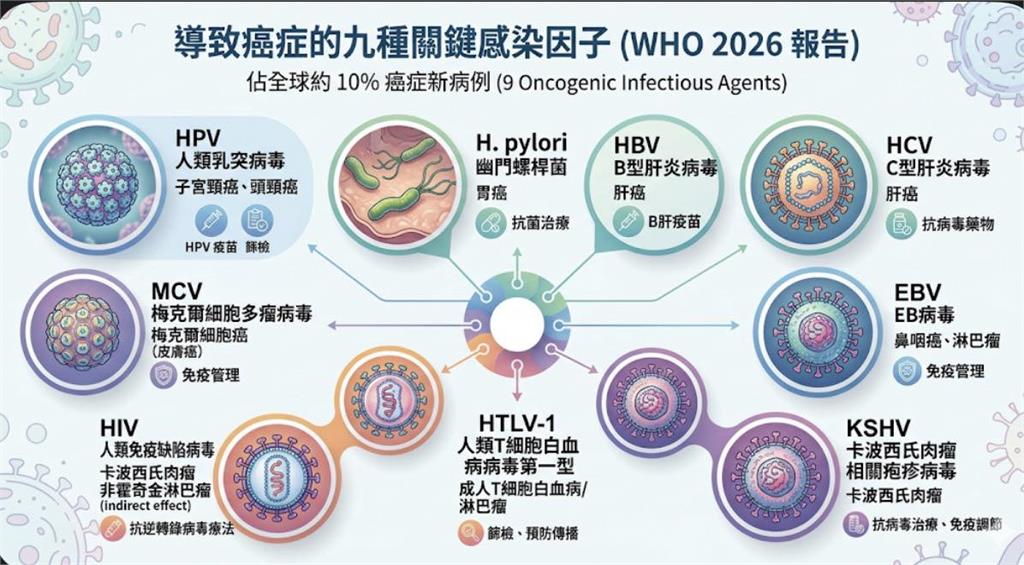 近40%癌症其實可預防!醫點名「感染因子」成最大殺手…3大救命關鍵一次看