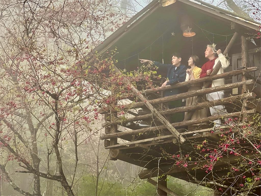 紫色瀑布美瘋了！王瞳化身「迷霧仙女」現身嘉義瑞里　開箱樹屋民宿嚇傻：老闆少算一個