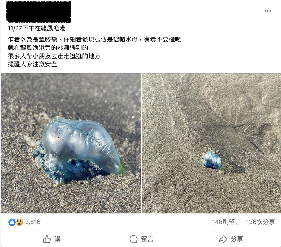 岸邊「藍色塑膠袋」別亂撿！整片海灘全是「世界第3毒」被螫恐致命