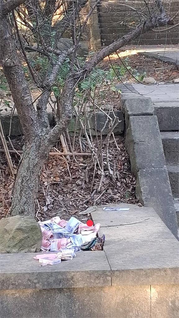 苗栗公園驚見525萬金條、10萬現金!失主身分曝光背後原因藏洋蔥