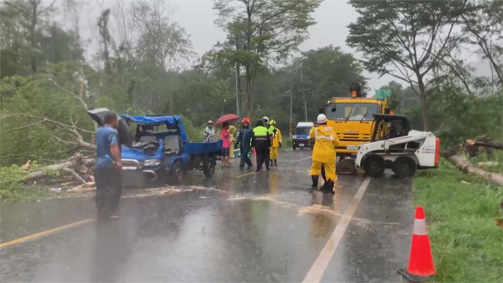 「海葵」直撲台東!父子開車上路遇「路樹坍塌」 一度受困