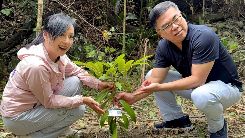 陳瑩攜彭啟明台東種樹　透過綠化保護居民生活