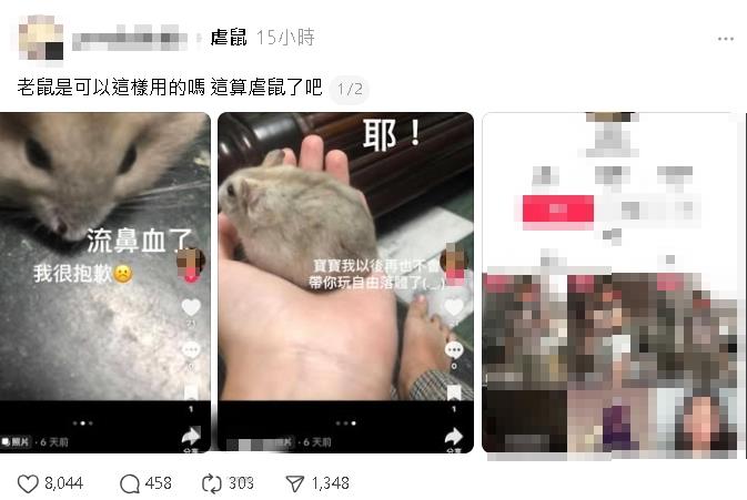 她殘忍「虐倉鼠」竟拍抖音記錄！「釘書機穿耳洞+自由落體墜地亡」惡劣行徑全曝光