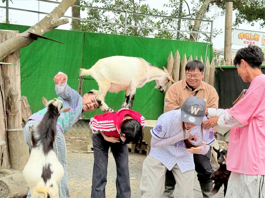 參觀動物園！楊繡惠驚呼「活到60歲第一次知道烏龜在傳宗接代竟然會有聲音！」