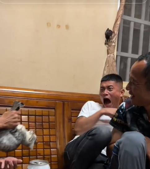 兇臉男「超怕貓」友人實測他崩潰逃竄 「臉部逐漸母湯」網:以為在驅魔