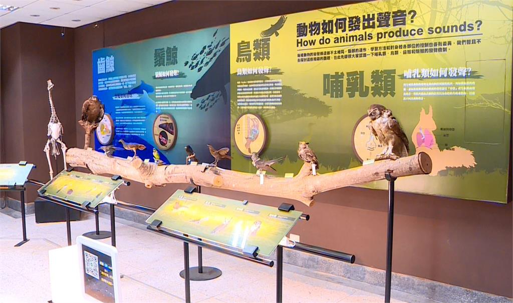 學電腦時代已過去? 黃仁勳:工程化的生命科學將是未來