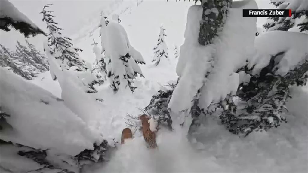 美國男子滑雪倒栽蔥遭活埋　機警雪友徒手挖雪營救