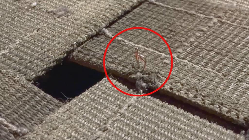 台東兒童運動公園"彈跳床傷人" 小朋友手被刺破手