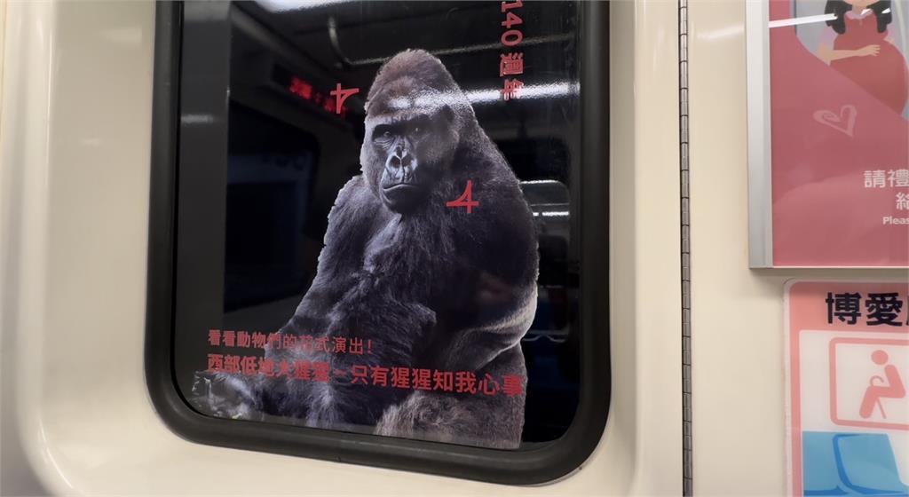 台北市立動物園歡慶110週年! 打造超萌動物主題車窗