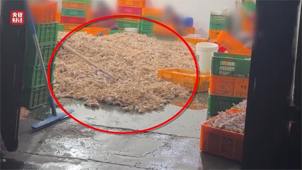 中國爆黑心食品 雞腳加漂白水 硫磺薰蒸八角
