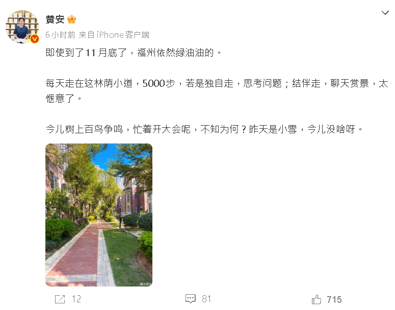 昔檢舉「台獨」害慘TWICE！子瑜熬10年「回台開唱」黃安PO文：依然綠油油