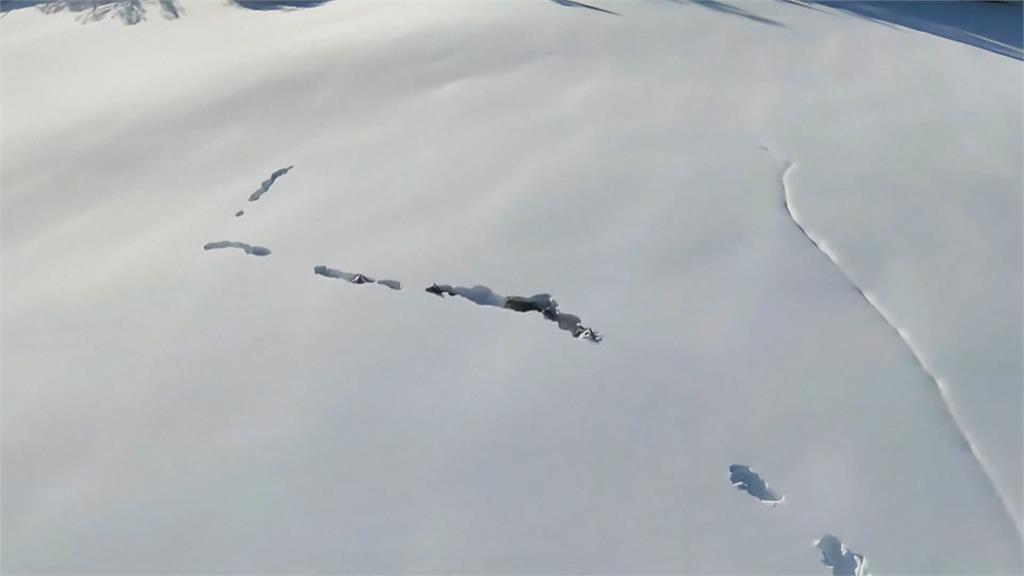 新疆暴雪創紀錄低溫　狼群「零下52.3度」刨雪找食物