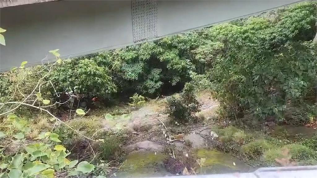 命大! 台9線轎車疑打滑"墜20m深山谷" 駕駛送醫意識清楚