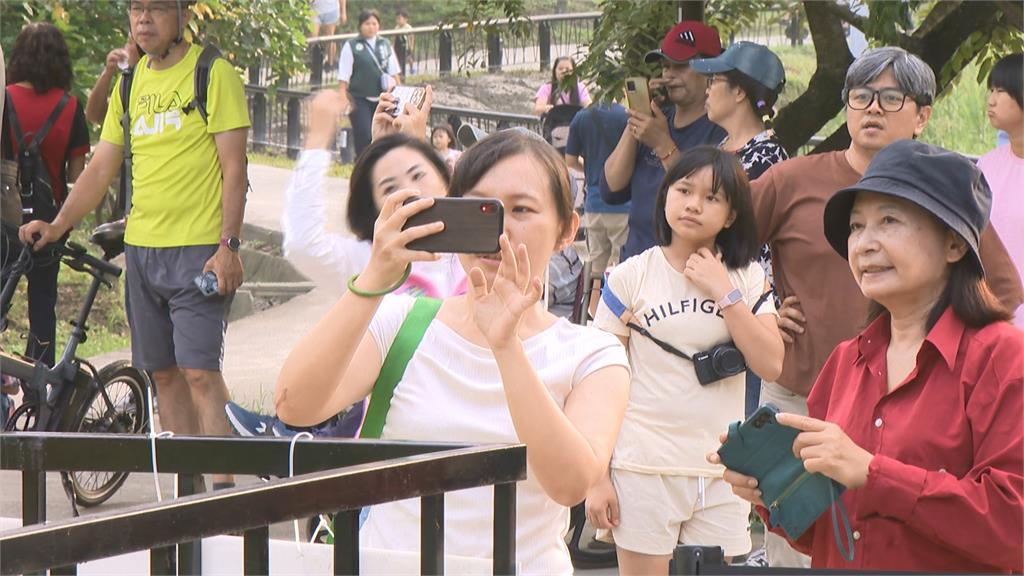 高雄愛月熱氣球活動登場 高雄熊現身田寮月世界