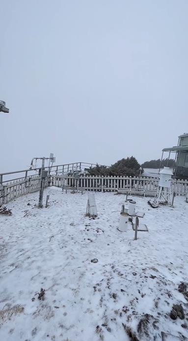 快新聞/玉山下雪了! 絕美銀白世界畫面曝