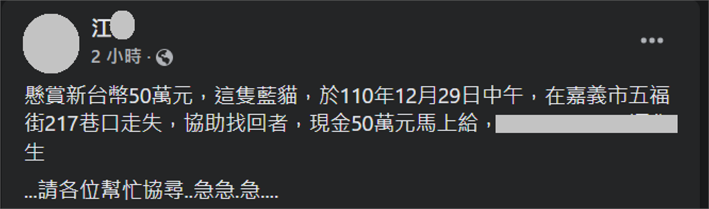 快新聞／大家全出來找藍貓！　飼主刪懸賞文仍允給現金50萬：感情無價錢再賺就有