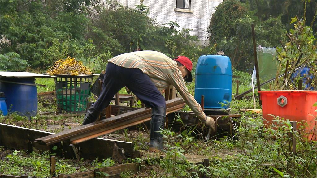 「市」外桃源？走路5分鐘到捷運站的菜園　建商用「這價格」買走