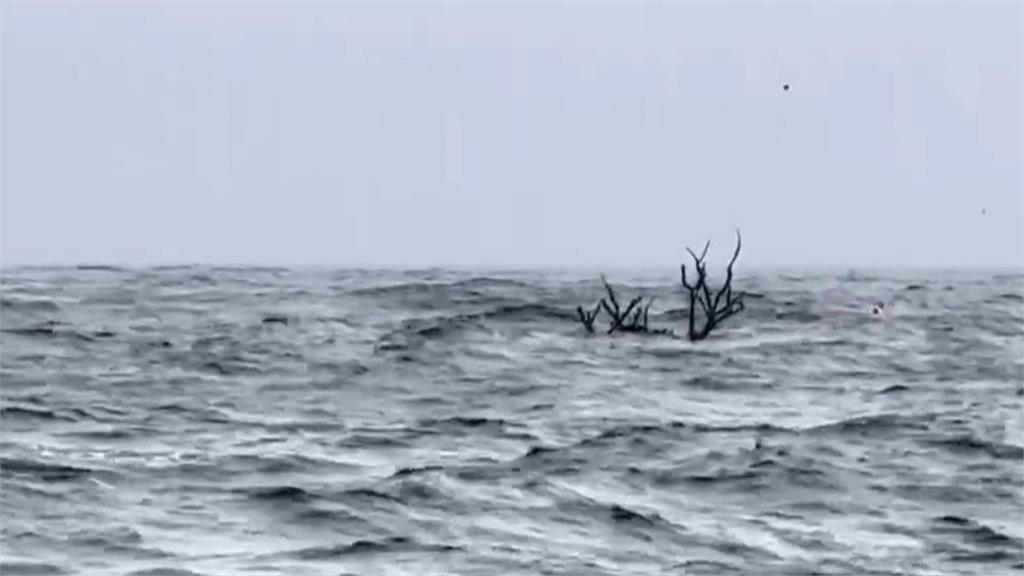 東琉線海上航行如海盜船 小琉球沙灘滿是枯木美景變色