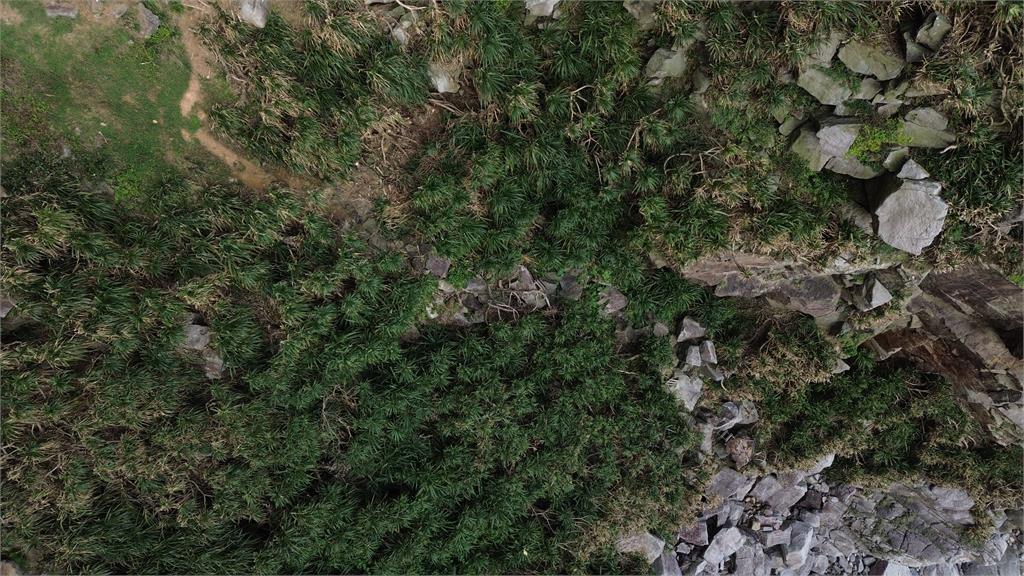 瑞芳龍岩洞驚見人骨 警方尋獲死者證件與遺物通知家屬