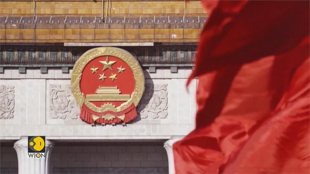 印度關押「中國間諜鴿」？　調查8個月揭曉　竟是台灣賽鴿