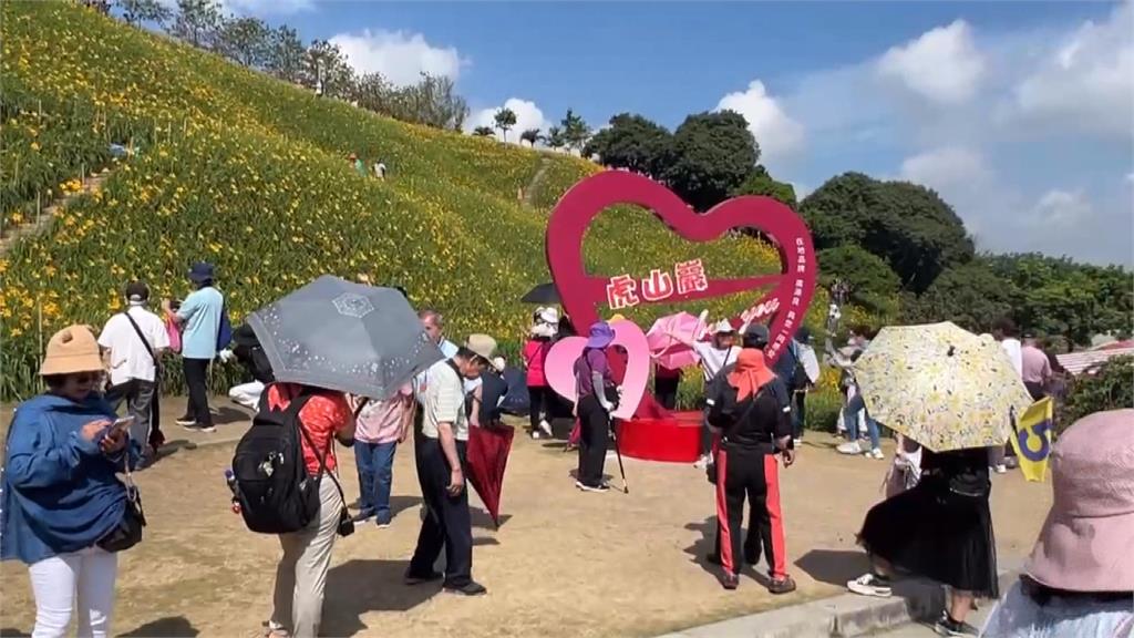 金針花之亂又上演! 步道人擠到爆口角、花海遭遊客踩爛