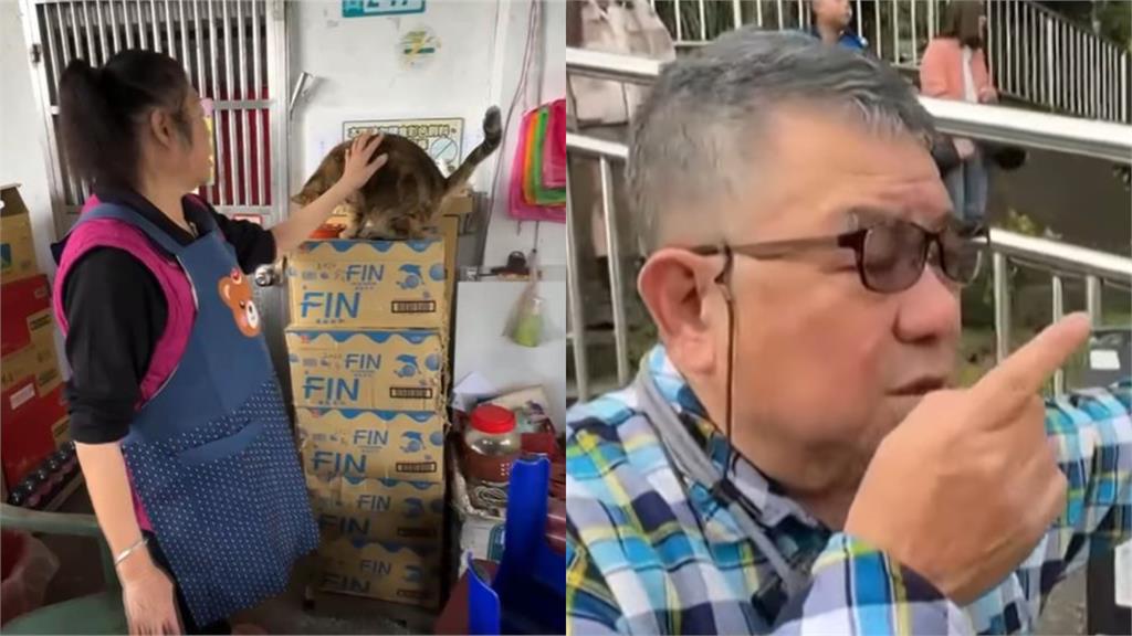 昔200隻「只剩30隻」猴硐貓村拉警報！他曝3原因遊客嘆：該轉型了