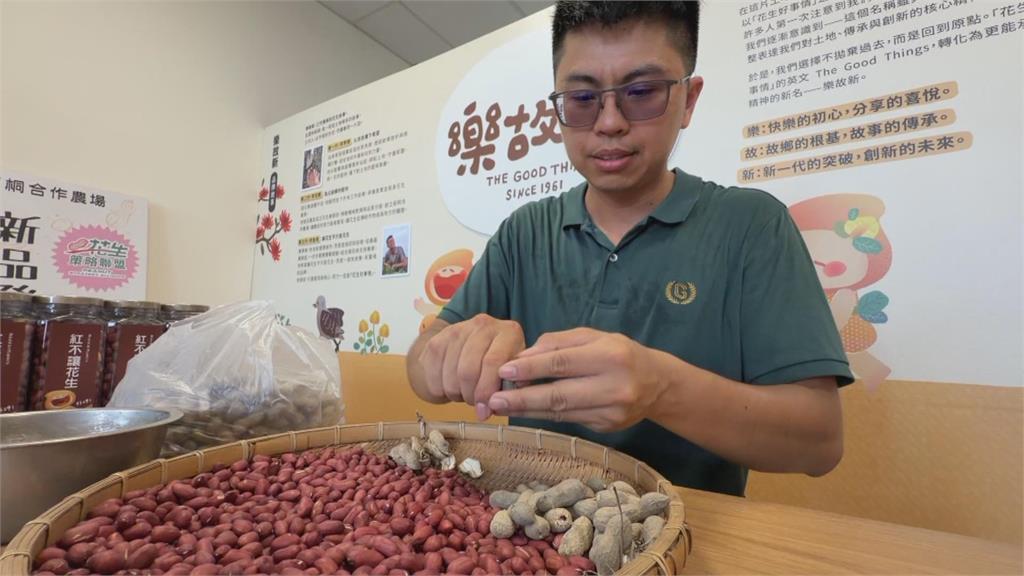擺脫惱人油耗味！　雲林青農成功培育「紅皮高油酸」花生