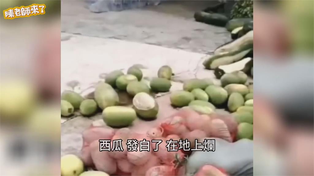 中國災民暴搶物資 陳老師怒:中共就是攪屎棍