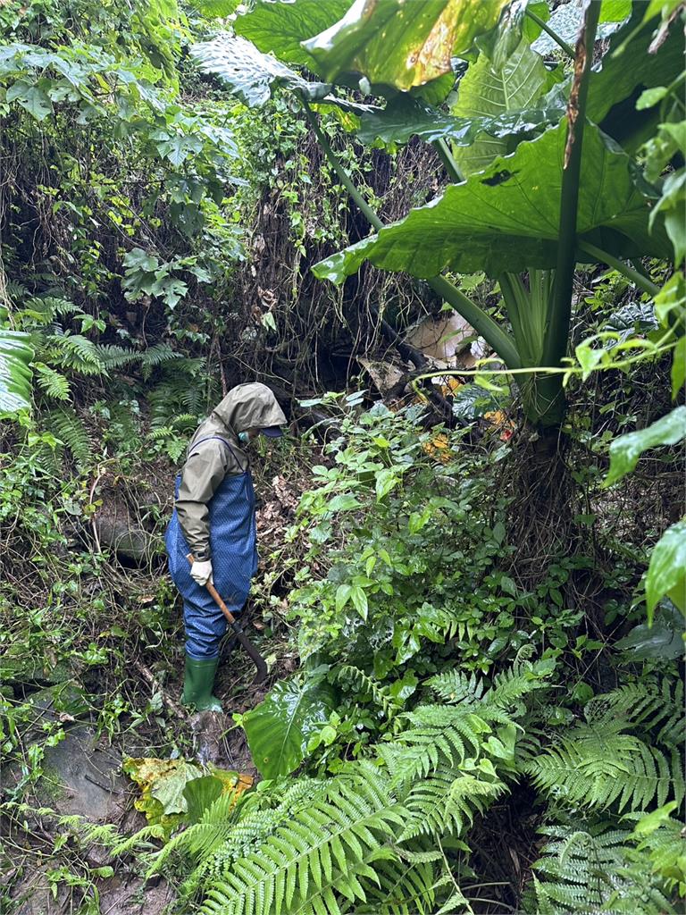 快新聞/新北「公司田溪」驚傳遭油汙染!稽查員穿青蛙裝追蹤 兇手曝光了
