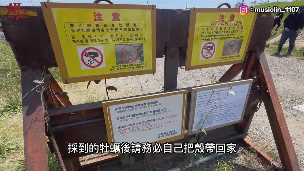 在日本挖牡蠣！中國大媽「無視告示亂扔碎殼」　遭逮捕秒下跪哭求放過