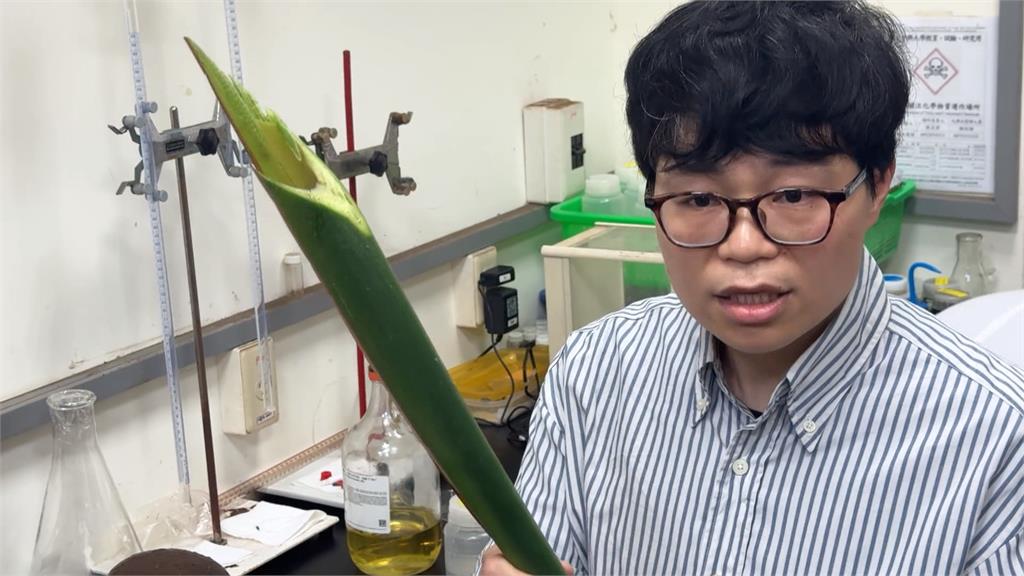 香蕉變建材? 台中團隊經歷2年成功研發