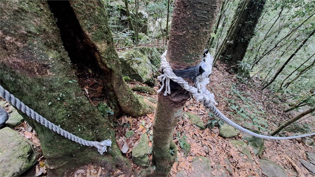 快新聞／台中鳶嘴山步道繩索遭惡意割斷28處　警方警告：毀損公物恐觸刑法