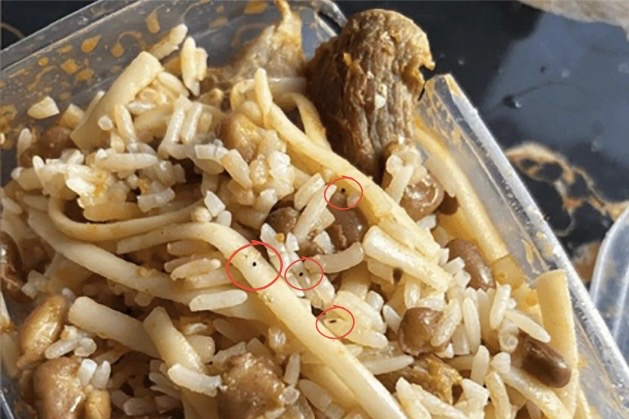 只因被下「禁愛令」！巴西17歲少女「午餐狂加老鼠藥」妄毒害全家