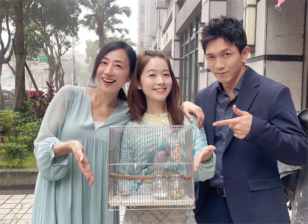 民視《豆腐媽媽》最強星二代登場！潘奕如愛鳥「樂樂」萌翻劇組　